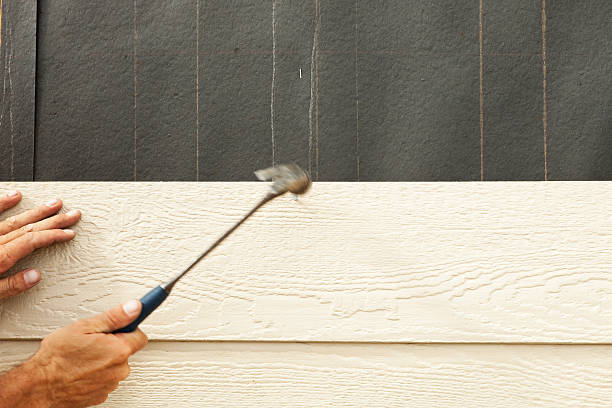 Best Composite Siding  in Satellite Beach, FL